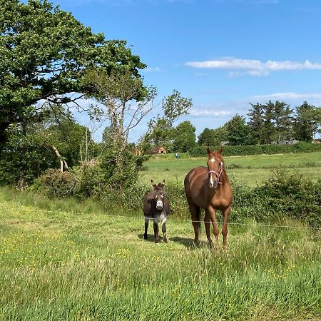 מלון קיל איירן Farmyard Lane Glamping מראה חיצוני תמונה